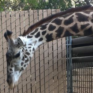 Meet your Posher, Lety